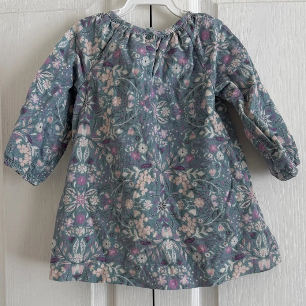 Baby Gap Winter Floral Corduroy Dress